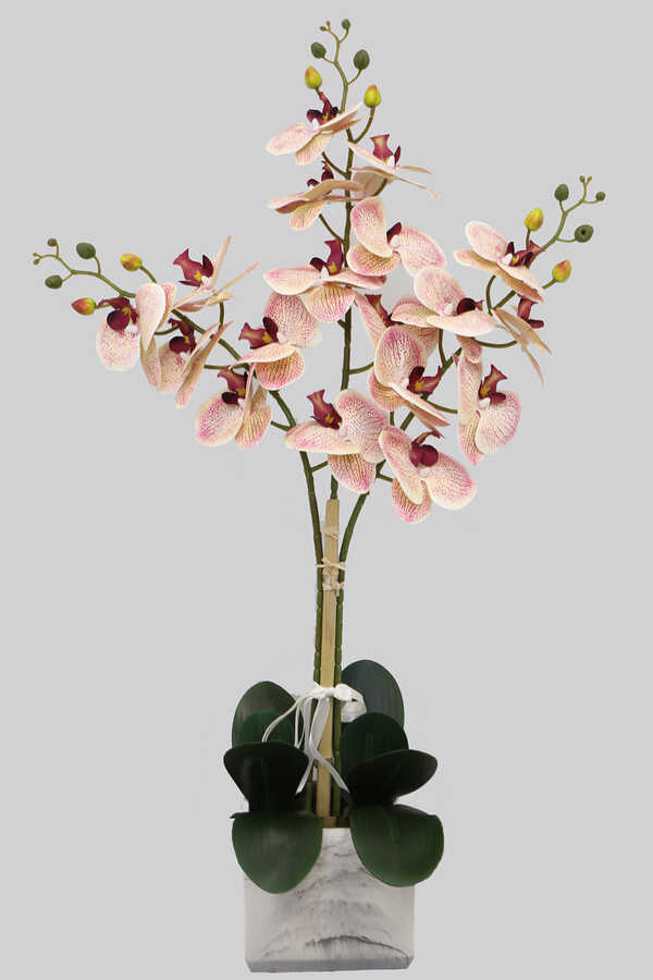 Mermer Görünümlü Beton Saksıda 3lü Yapay Orkide Tanzim Krem-Fuşya Benekli 80cm