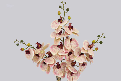 Mermer Görünümlü Beton Saksıda 3lü Yapay Orkide Tanzim Krem-Fuşya Benekli 80cm - Thumbnail