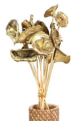 Yapay Çiçek Deposu - 15 Adet Kuru Golden Mushromm Bambu Çubuklu Gold