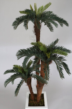 Beyaz Ahşap Saksıda 3 Gövdeli Yapay Ananas Feniks Ağacı 150 cm - Thumbnail