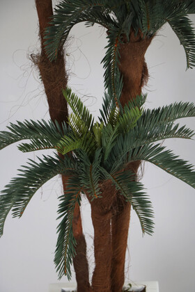 Beyaz Ahşap Saksıda 3 Gövdeli Yapay Ananas Feniks Ağacı 150 cm - Thumbnail