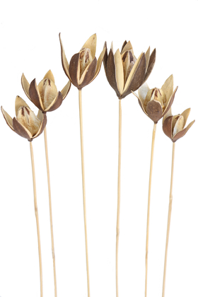 Yapay Çiçek Deposu - 6lı Tropic Lily on Stem 50 cm