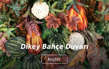 Dikey Bitki Duvarları