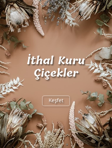 İthal Kuru Çiçekler