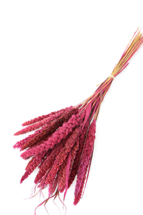 Yapay Çiçek Deposu - Şoklanmış Setteria(Boncuk) Demeti 100gr Pembe