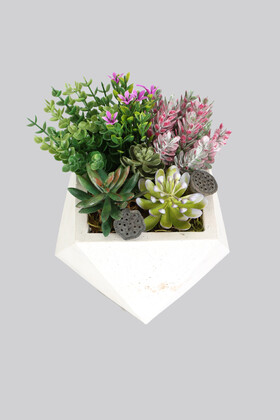 Beton Saksida Yapay Succulent Bahçesi - Thumbnail