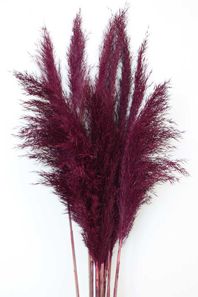 Yapay Çiçek Deposu - Kuru Çiçek Pampas 14lu Büyük Demet 100cm(Mürdüm)