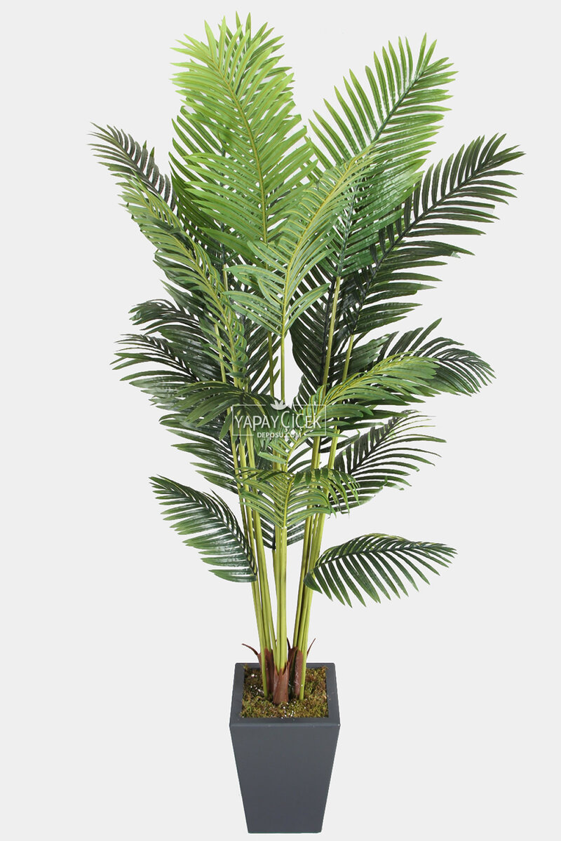 Antrasit Ahşap Saksıda Yapay Areka Palmiye Ağacı 230 cm (21 Yapraklı)