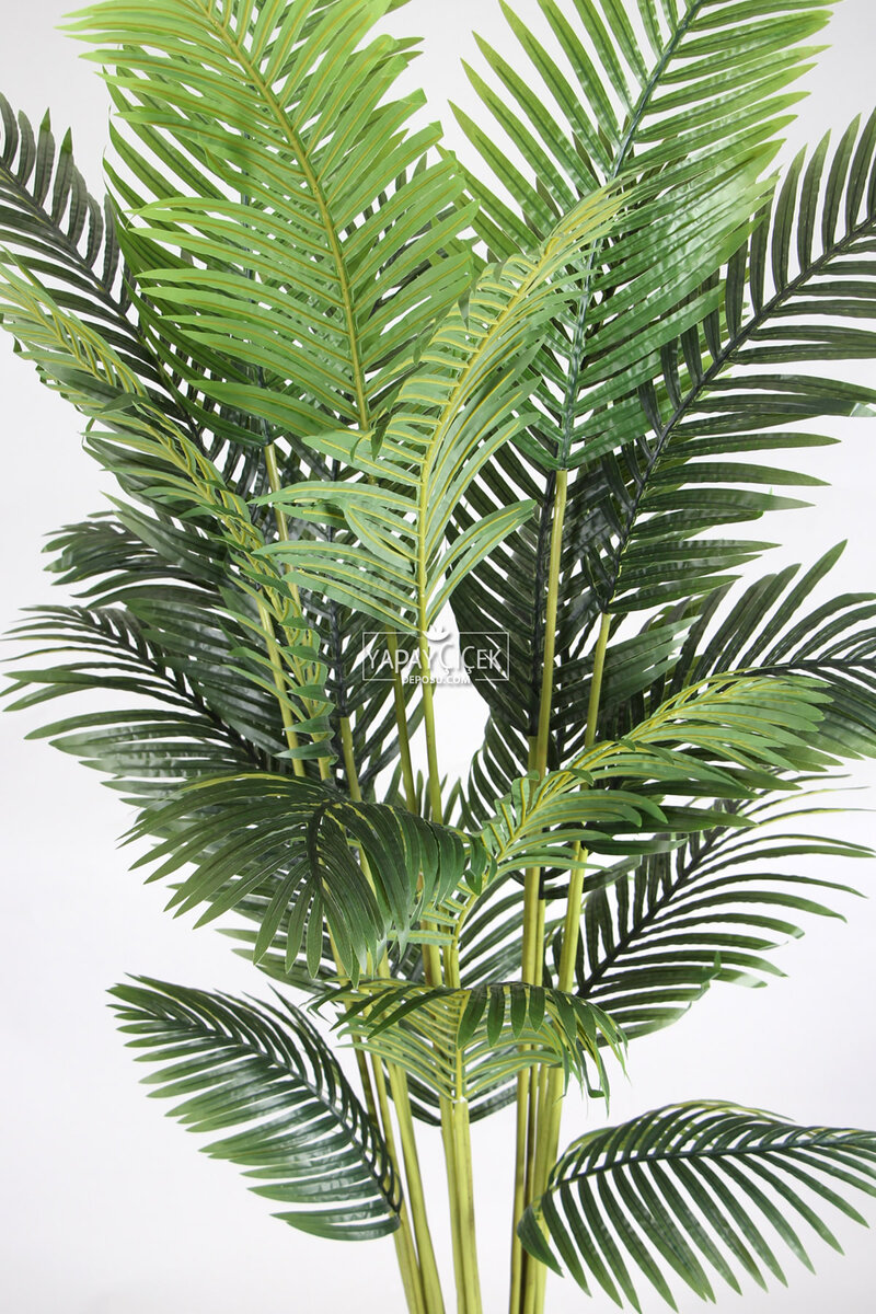 Antrasit Ahşap Saksıda Yapay Areka Palmiye Ağacı 230 cm (21 Yapraklı)