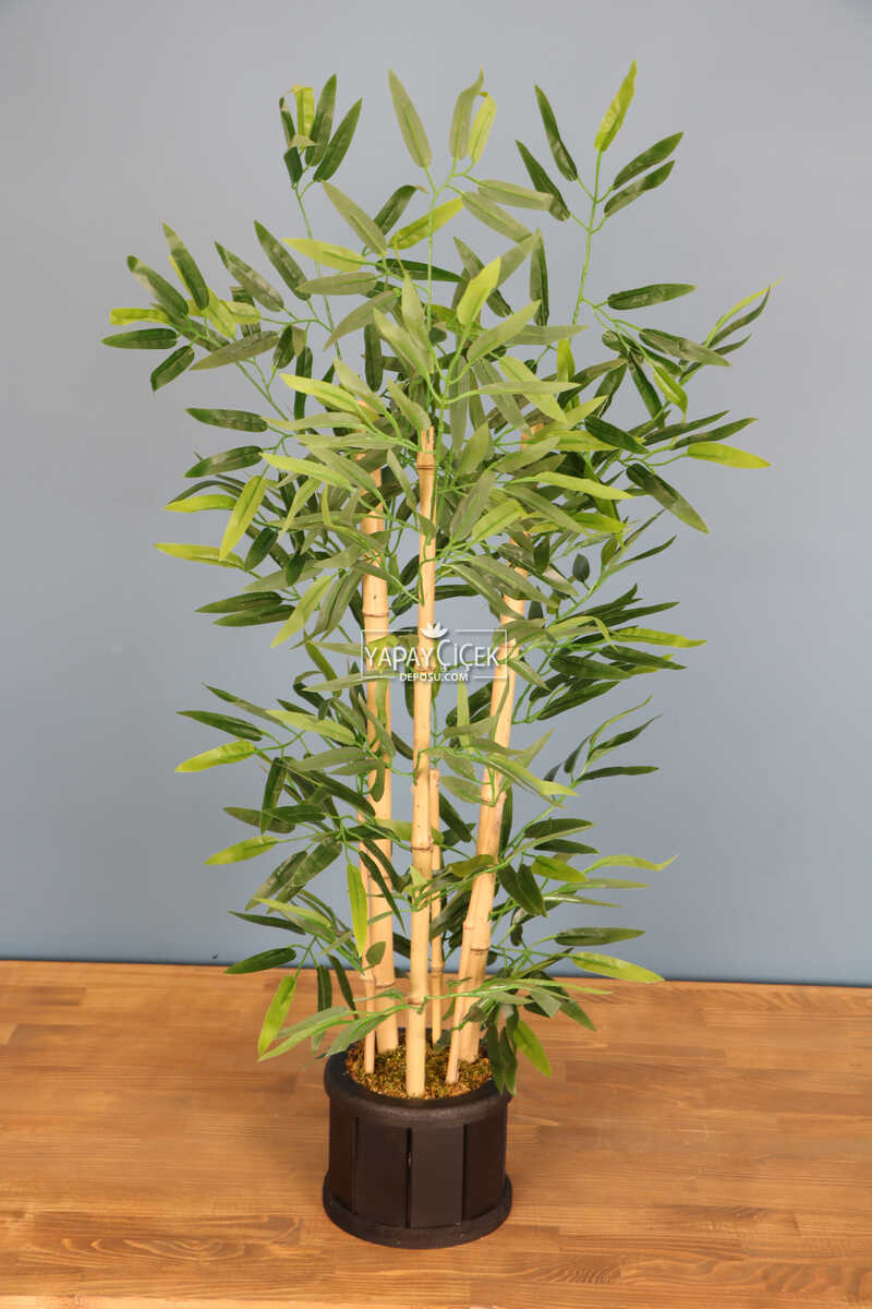 Ahşap Saksıda Bambu Ağacı 105 Cm
