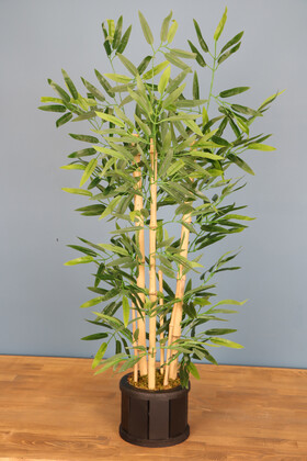 Ahşap Saksıda Bambu Ağacı 105 cm - Thumbnail