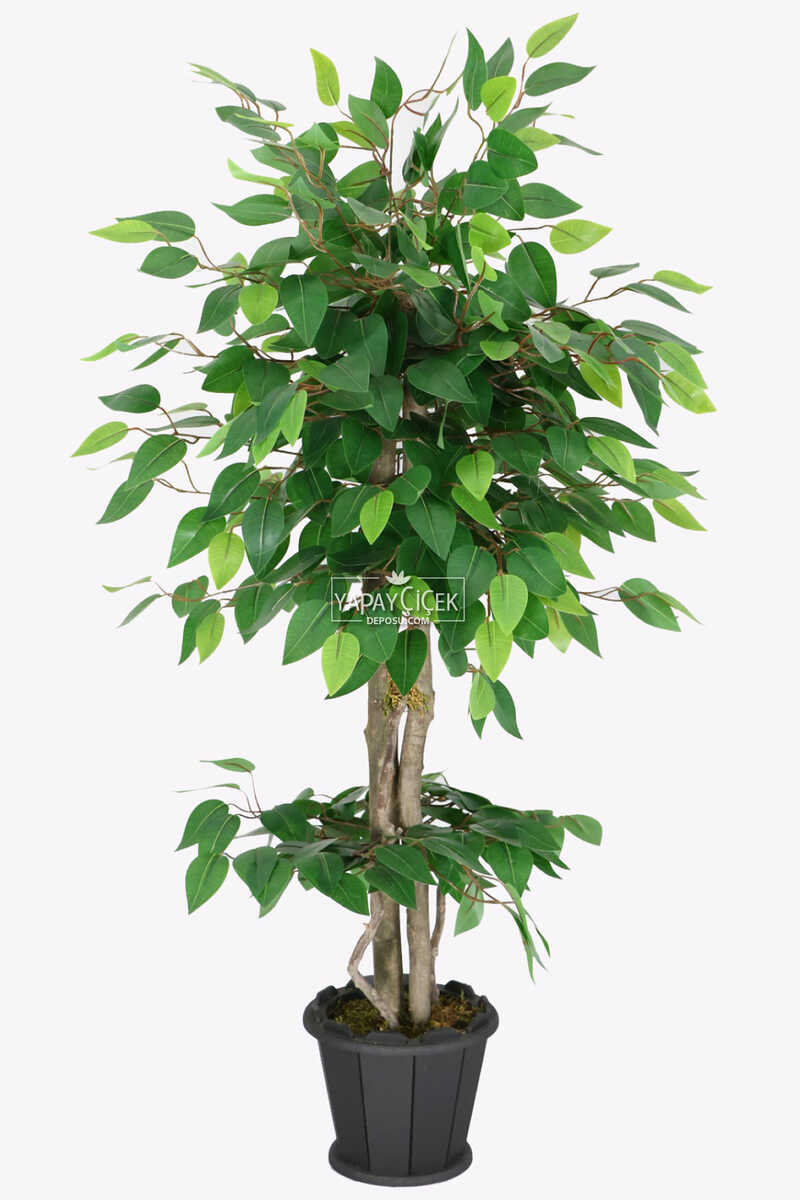 Ahşap Saksıda Yapay Benjamin Ağacı 100 cm Yeşil
