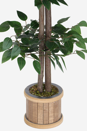 Ahşap Saksıda Yapay Benjamin Ağacı 120 cm - 3