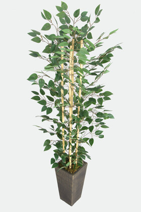 Yapay Çiçek Deposu - Yapay Benjamin Ağacı 155 cm 4lü Bambu Gövdeli Yeşil (Ahşap Siyah Gold-Saksı)