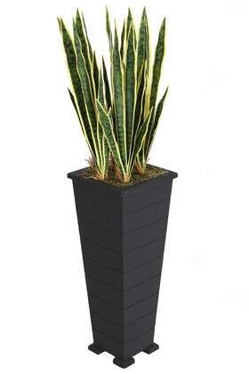 Ahşap Saksıda Yapay Paşa Kılıcı Sansevieria Ağacı 125 cm - 4