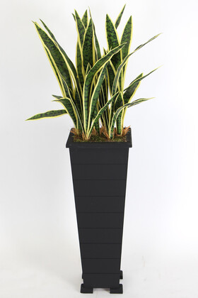 Yapay Çiçek Deposu - Ahşap Saksıda Yapay Paşa Kılıcı Sansevieria Ağacı 125 cm