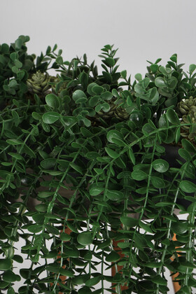 Yapay Bitkili Raf Masa Sarmaşık Tanzimi 45 cm Model 13 - Thumbnail