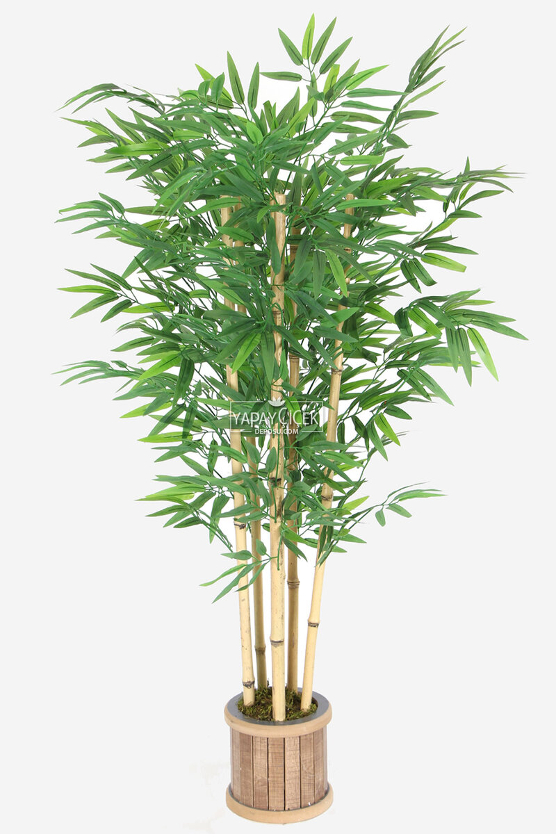 Ahşap Saksıda Yapay Bambu Ağacı 130 cm 6 Gövdeli