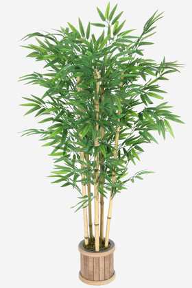 Ahşap Saksıda Yapay Bambu Ağacı 130 cm 6 Gövdeli - 2