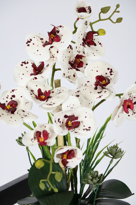 Dekoratif Ahşap Saksıda 4 Dal Yapay Orkide Aranjmanı Beyaz Benekli - Thumbnail