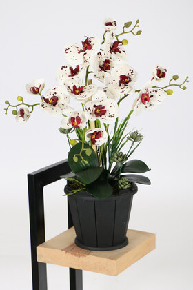 Yapay Çiçek Deposu - Dekoratif Ahşap Saksıda 4 Dal Yapay Orkide Aranjmanı Beyaz Benekli