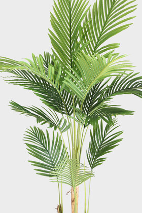 Antrasit Ahşap Saksıda Yapay 4 Gövdeli Areka Palmiye Ağacı 220 cm (13 Yapraklı) - Thumbnail