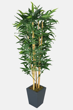 Yapay Bambu Ağacı Premium İri Yapraklı 150 cm 5 Çubuklu - 3