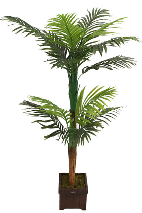 Yapay Ağaç Areka Palmiyesi Ahşap Saksıda 150cm - Thumbnail