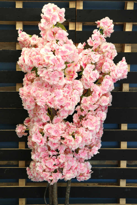 Bahar Dalı Ağacı Kabarık Çiçekli 3 Gövdeli 150cm Tırtıklı Model Pembe - Thumbnail