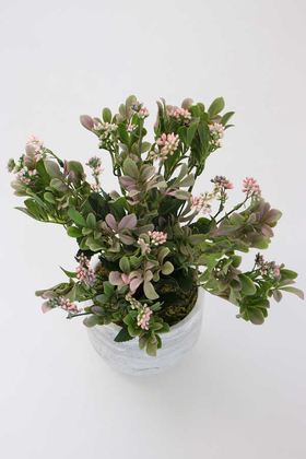 Beton Saksıda Kalanşo Çiçeği (Kalanchoe) 45cm Açık Pembe - Thumbnail