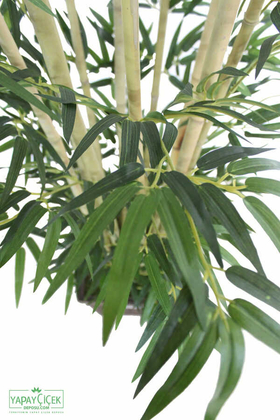 Bambu Ağacı 10 Gövde 180 cm(1.Sınıf Yaprak) - Thumbnail
