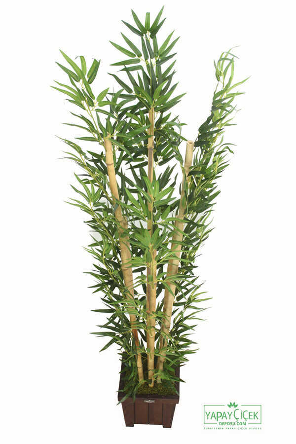 Bambu Ağacı 6 Gövde 140 cm(1.Sınıf Yaprak) 750 Yapraklı Model 9
