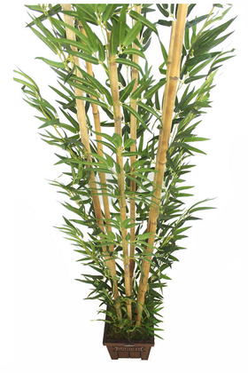 Bambu Ağacı 6 Gövde 180 cm(1.Sınıf Yaprak) Model1 - Thumbnail