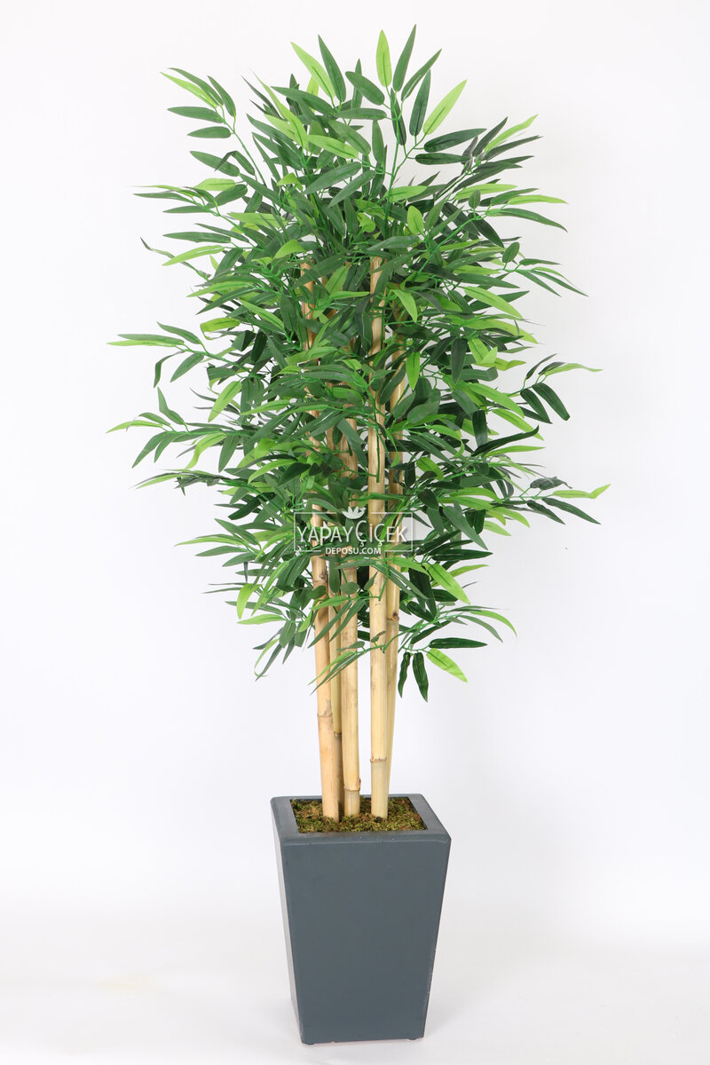 Yapay Bambu Ağacı 135 cm 5 Gövdeli Yoğun Yapraklı Lüx Ahşap Saksılı