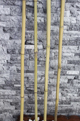 Doğal Gerçek Bambu 80 cm - Yapay Çiçek Deposu