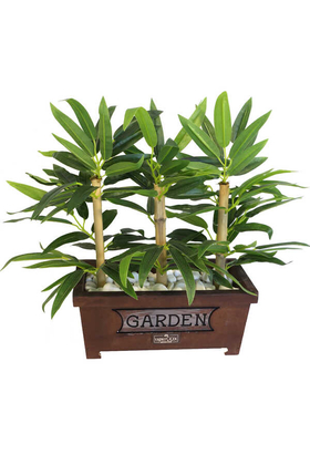 Bambu Premium Yaprak Tanzimi Ahşap Dekoratif Saksılı 45 cm - Thumbnail