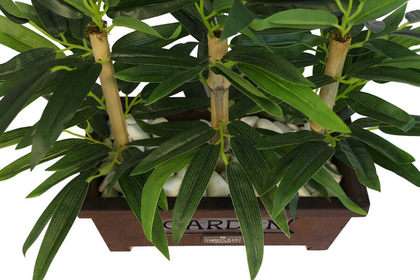 Bambu Premium Yaprak Tanzimi Ahşap Dekoratif Saksılı 45 cm - Thumbnail