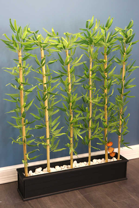 Yapay Çiçek Deposu - Ahşap Saksıda Bambu Seperatör Kırçıllı 6 Çubuklu (20x100x150cm)