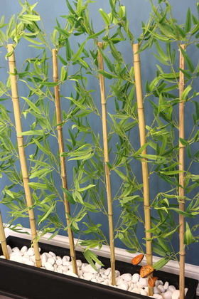 Ahşap Saksıda Bambu Seperatör Kırçıllı 6 Çubuklu (20x100x150cm) - Thumbnail