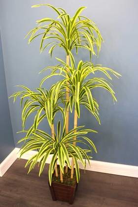 Yapay Japon Orman Çim Ağacı Hakonechloa 170 cm Yeşil-Sarı - Thumbnail