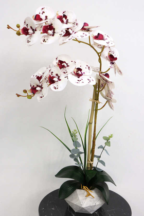 Yapay Çiçek Deposu - Beton Geometrik Saksıda 2li Yapay Islak Orkide Beyaz Mor Damlacıklı