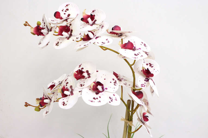 Beton Geometrik Saksıda 2li Yapay Islak Orkide Beyaz Mor Damlacıklı - Thumbnail