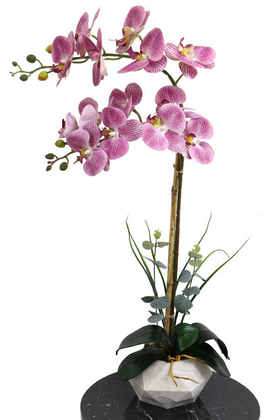 Yapay Çiçek Deposu - Beton Geometrik Saksıda 2li Yapay Islak Orkide Mor Benekli