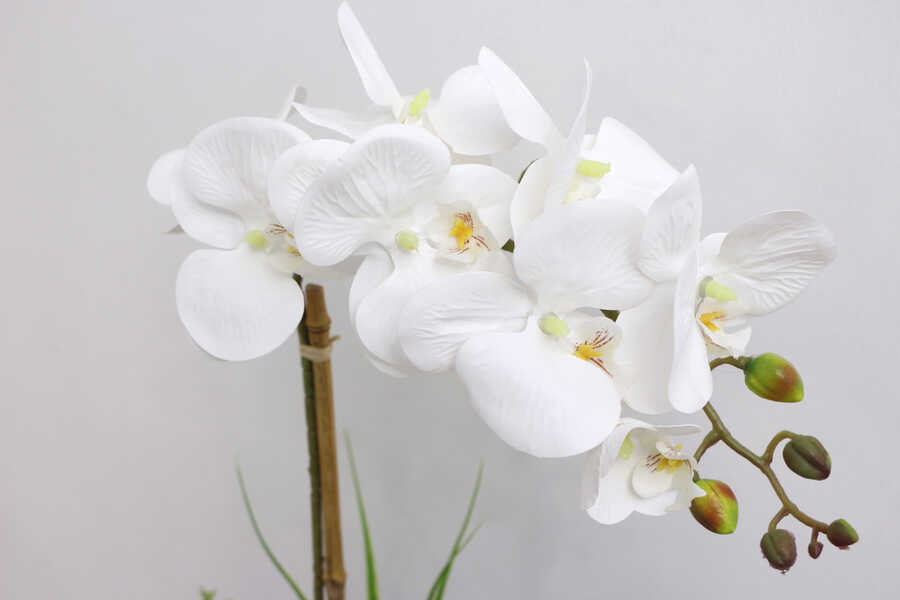 Beton Geometrik Saksıda Tekli Yapay Islak Orkide Beyaz