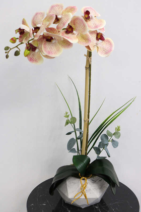 Yapay Çiçek Deposu - Beton Geometrik Saksıda Tekli Yapay Islak Orkide Krem-Fuşya Benekli
