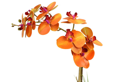 Beton Geometrik Saksıda Tekli Yapay Islak Orkide Orange - Thumbnail