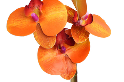 Beton Geometrik Saksıda Tekli Yapay Islak Orkide Orange - Thumbnail