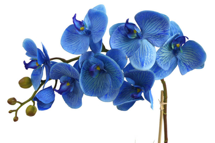 Beton Geometrik Saksıda Yapay Exclusive Islak Orkide 70 cm Mavi - Thumbnail