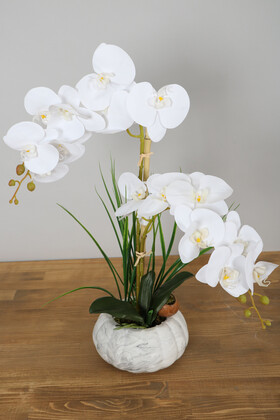 Yapay Çiçek Deposu - Beton Kabak Saksıda 2li Islak Orkide Tanzimi Beyaz