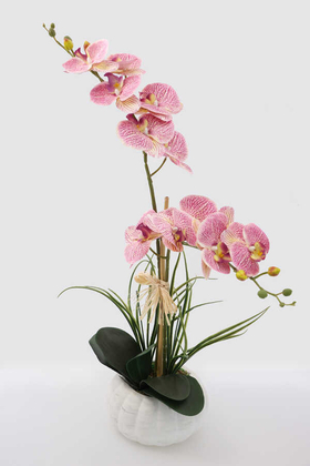 Yapay Çiçek Deposu - Beton Kabak Saksıda 2li Islak Orkide Tanzimi Fuşya Benekli